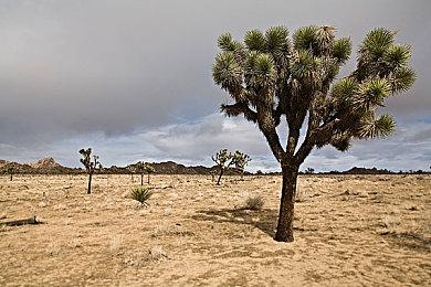 遭遇技术故障后 美波音星际客机飞船启程返回地球：空载