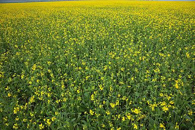 《漫威蜘蛛侠》仍是美国销量最高的超英游戏